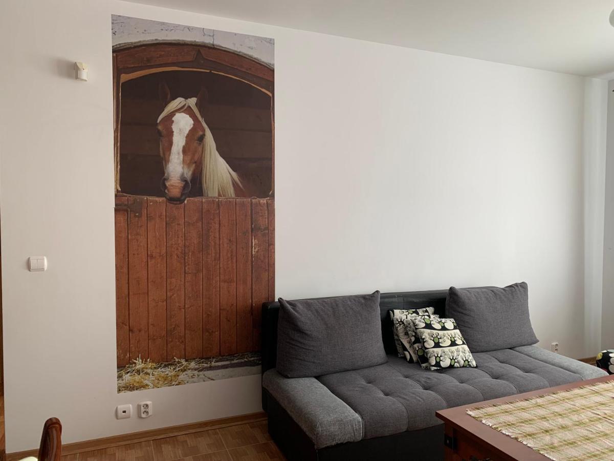 Zawsze Sloneczny Apartament Grzybowo Grzybowo  Bagian luar foto