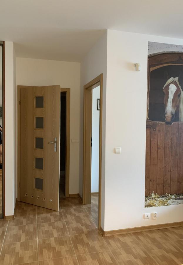 Zawsze Sloneczny Apartament Grzybowo Grzybowo  Bagian luar foto